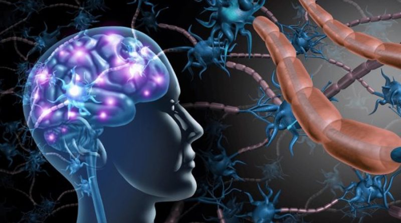 Científicos descubren resistencia cognitiva al alzhéimer a pesar de acumulación de beta-amiloide cerebral