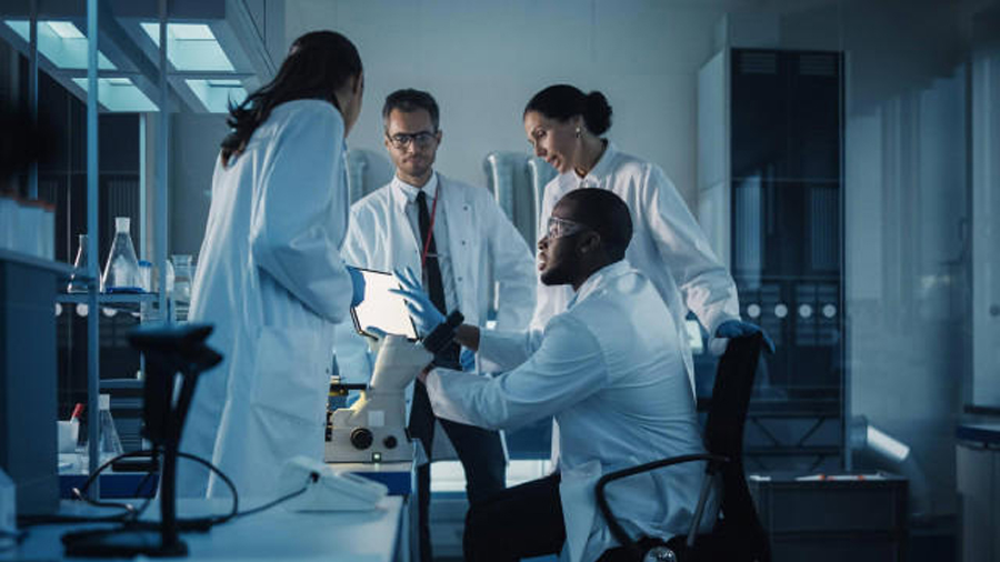 Científicos descubren que la proteína secretada por una bacteria puede destruir células cancerosas: así actúa