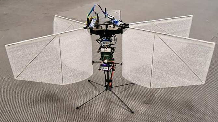 Dron inspirado en las polillas
