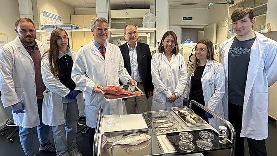 Investigadores de la UGR crean un implante de córnea con escamas de peces para convertirlo en un medicamento sostenible