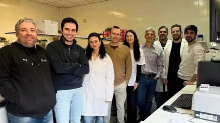 Investigadores de la UEx descubren una posible vía para tratar el cáncer de mama más agresivo