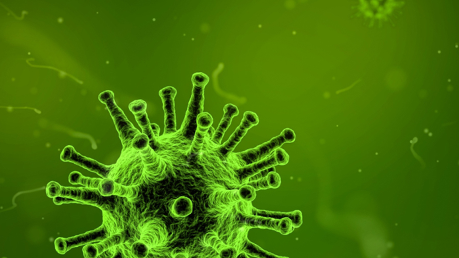 Descubren el posible origen de las enfermedades autoinmunes: las mutaciones del ADN desactivan los ‘frenos’ de las defensas del cuerpo