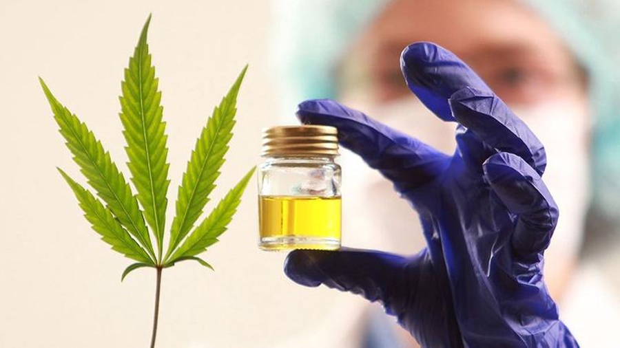 Investigadores chinos crean una nueva molécula a partir de cannabis