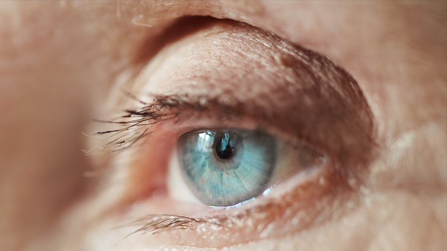 Una fotografía del ojo podría anticipar el riesgo de osteoporosis, según un estudio